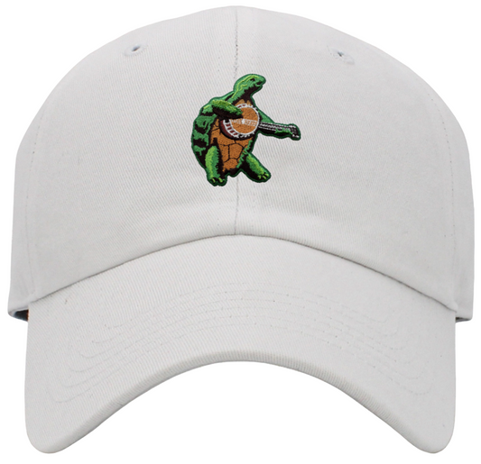 Terrapin Playing Banjo Low Profile Baseball Hats
